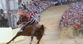 palio siena contrada kerchief